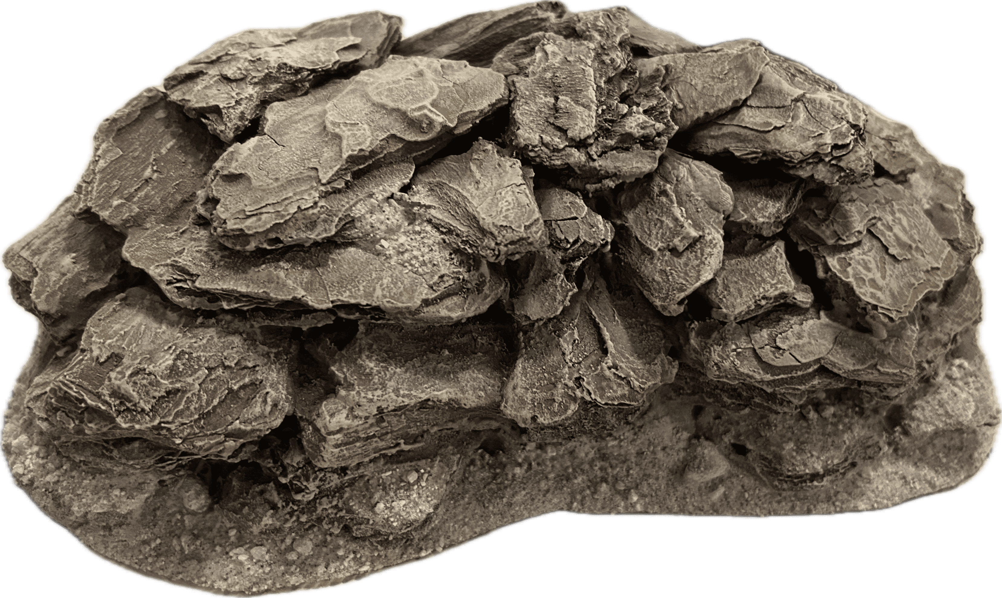 A pile of rocks for the ash wastes